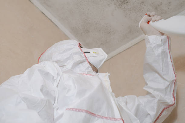 Best Certified Mold Removal  in Auburn, ME